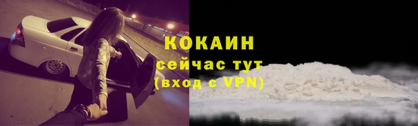 дживик Заводоуковск