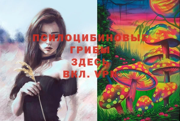 MDMA Premium VHQ Заволжье
