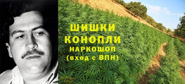 дживик Заводоуковск