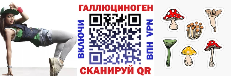 Купить где Таруса Псилоцибиновые грибы Cubensis