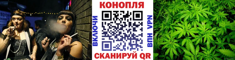 Канабис ГИДРОПОН Таруса